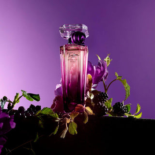 LancomeTresorMidnightRoseEauDeParfum_silkroutes_3