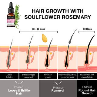 RosemaryEssentialOilforHairGrowth_SilkRoutes_2